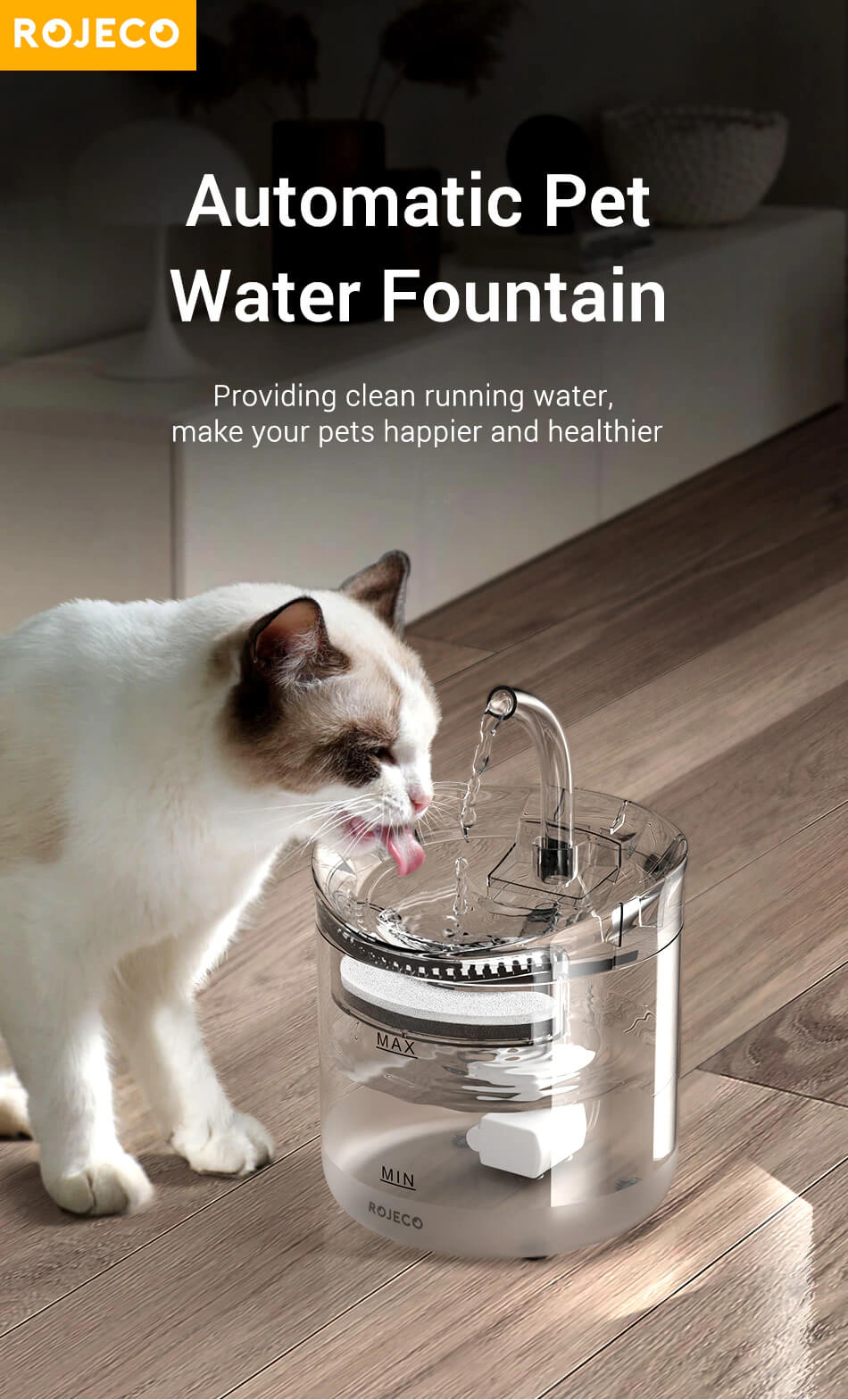 Fontaine à eau pour chat